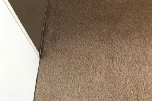 Carpet Cleaning in Pascoe Vale